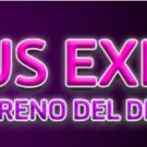 GD Casino Bonus Express e Giri Gratis